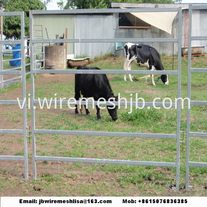 Galvanized Horse Fence/Cattle Fence/Livestock Fence